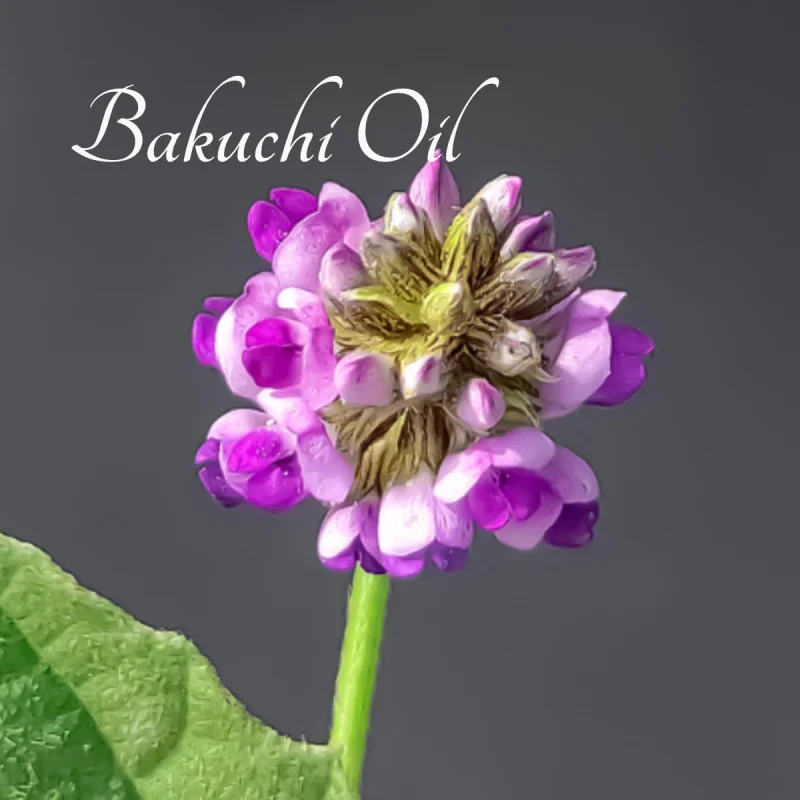 Ingredients Grid Image 1