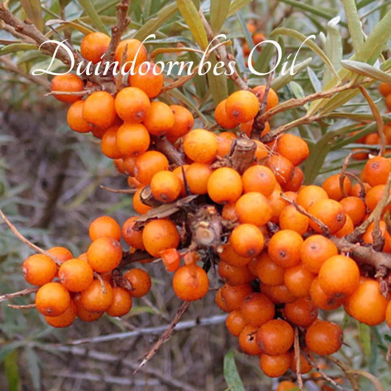 Ingredients Grid Image 2