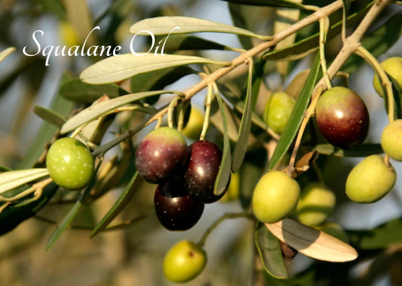 Ingredients Grid Image 4