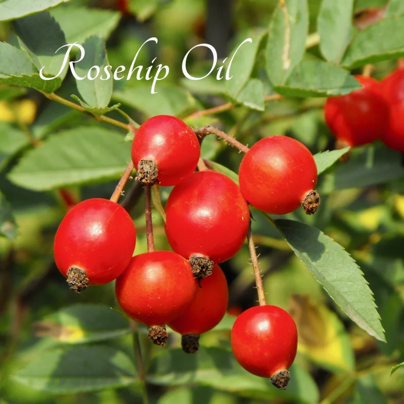 Ingredients Grid Image 5