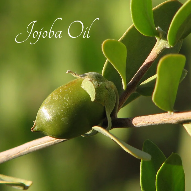 Ingredients Grid Image 8