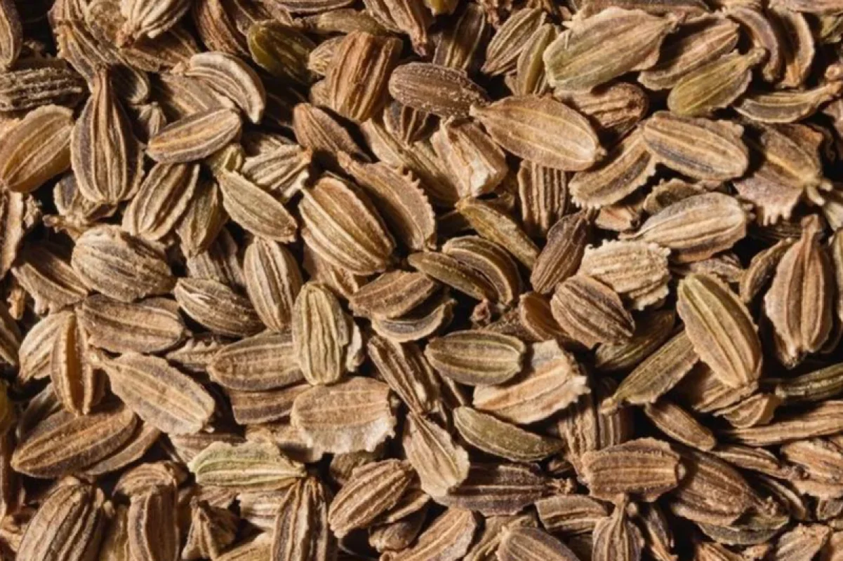 Carrot Seed Essential Oil