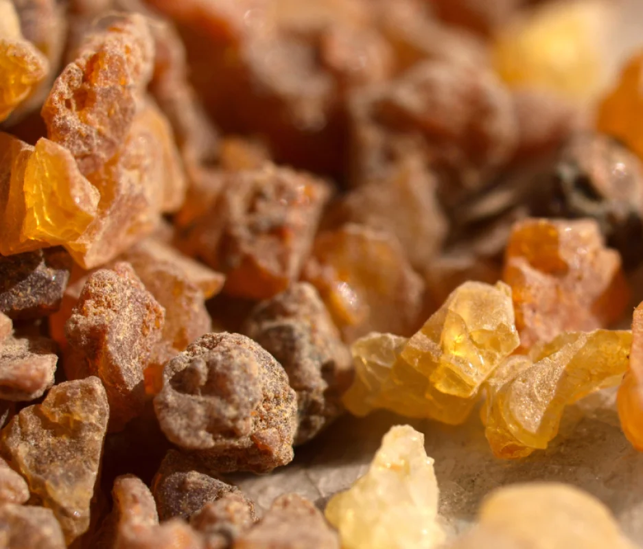Myrrh Essential Oil
