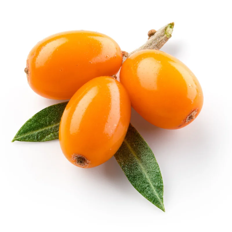 Sea Buckthorn Kernel Oil