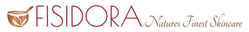 Fisidora Logo