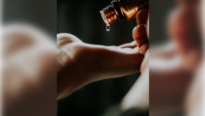 Ik wil je meenemen op een reis door de natuur. Ga je mee...